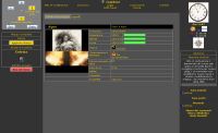 Terre del Regno di Rakham - Screenshot Play by Chat