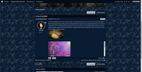 Res Occulta - Screenshot Harry Potter