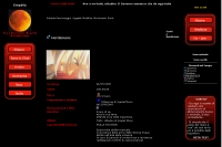 Scarlet Moon - Screenshot Fantasy