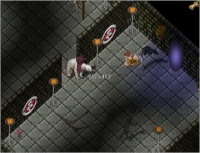Tales of the lost moon - Screenshot Fantasy