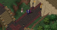 Te'Rha - Screenshot Fantasy