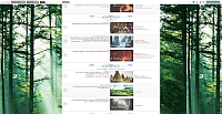 Terre Selvagge - La Grande Guerra - Screenshot Fantasy