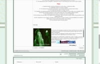 The Mists of Avalon GdR - Screenshot Fantasy Storico