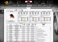 The Motorsport Manager - Screenshot Motori