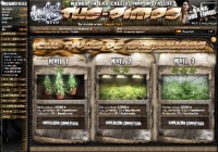 The Pimps - Screenshot Browser Game