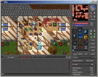 Tibia - Screenshot Fantasy Classico