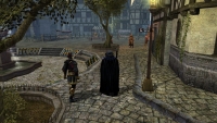 Torneo Neverwinter Nights - Screenshot MmoRpg