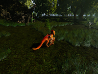 Trials of Ascension - Screenshot Fantasy