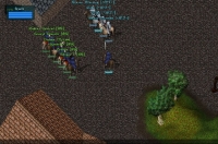 Ultima Online Reckoning - Screenshot MmoRpg