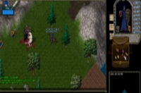Ultima Online Reckoning - Screenshot Fantasy d'autore