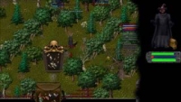 UO Renaissance - Screenshot Fantasy d'autore