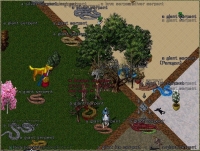 Vandalis Shard - Screenshot Fantasy Classico