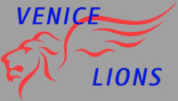 Venice Lions Quidditch - Screenshot Harry Potter