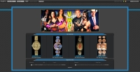 Virtual Wrestling Federation - Screenshot Play by Forum