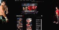 Wrestling UP - Screenshot Play by Forum