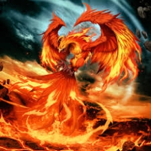 master phoenix